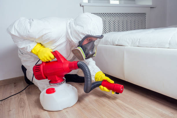 Best Affordable Pest Control Services  in Delshire, OH