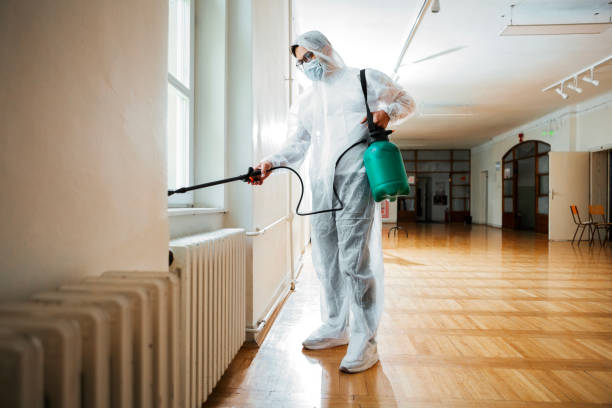 Best Bed Bug Extermination  in Delshire, OH