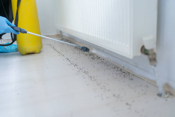 Best Exterminator Services  in Delshire, OH