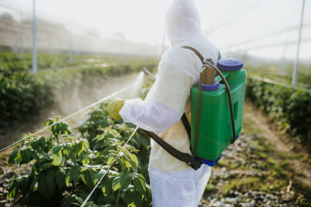 Best Affordable Pest Control Services  in Delshire, OH
